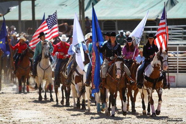 Dude Ranche - Horses Running