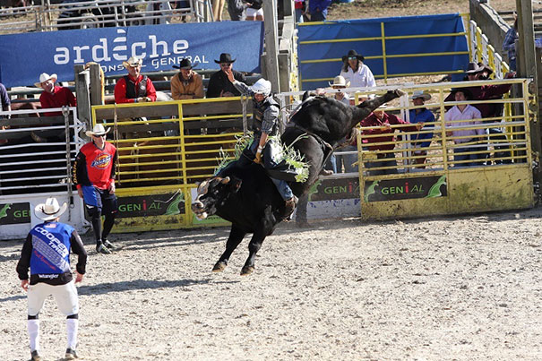 Dude Ranche - Horses Running