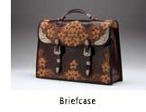 Briefcase Photo