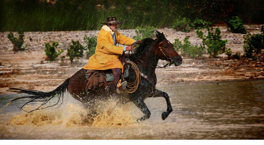 Horse Crossing Stream